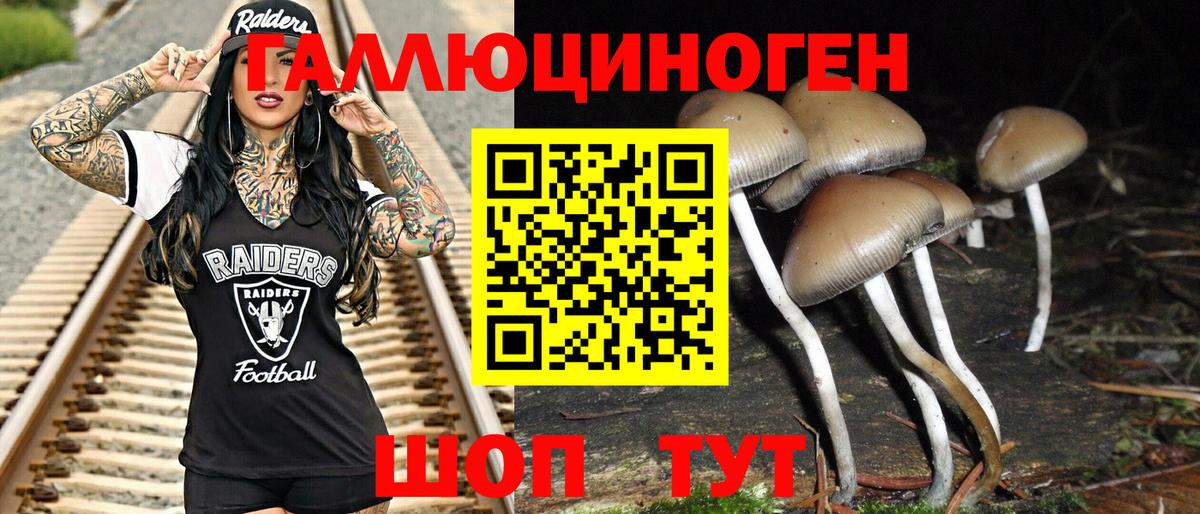 Иркутск  купить наркоту  Вход с VPN  Псилоцибиновые грибы Psilocybine cubensis  Галлюциногенные грибы прущие грибы 