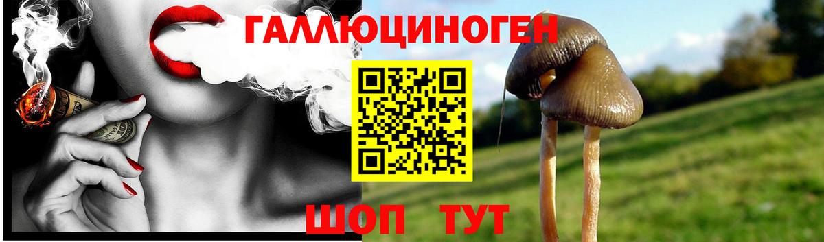 Галлюциногенные грибы MAGIC MUSHROOMS Иркутск
